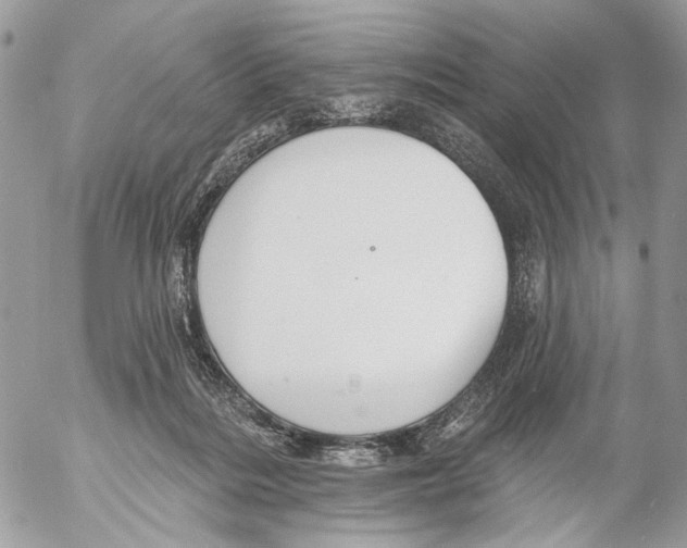 X0000053080220200508081253