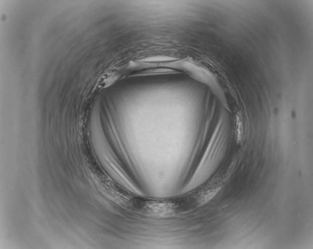 X0000053080221200508081253