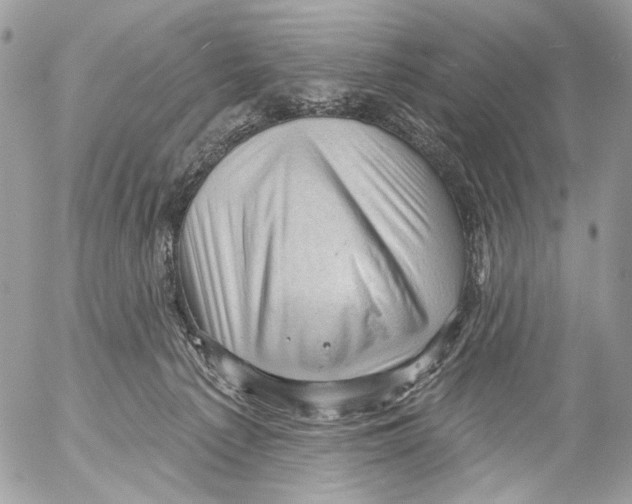 X0000053080225200508081253