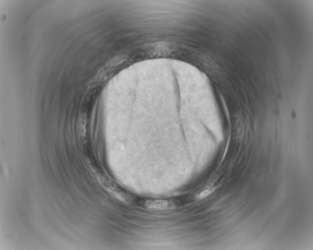 X0000053080230200508081253