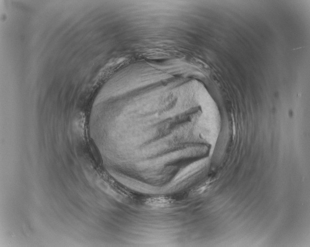 X0000053080231200508081253