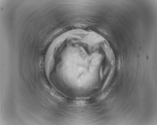 X0000053080233200508081253