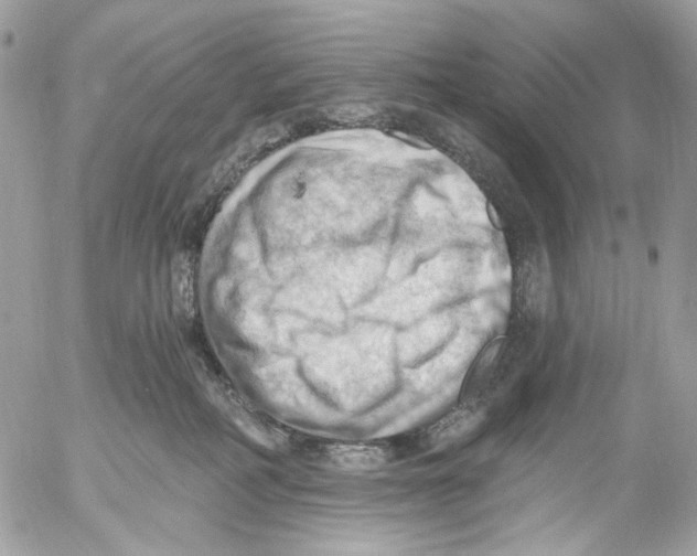 X0000053080234200508081253