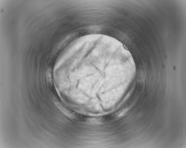 X0000053080238200508081253