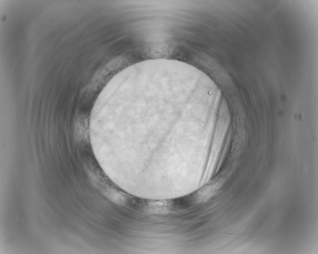 X0000053080240200508081253