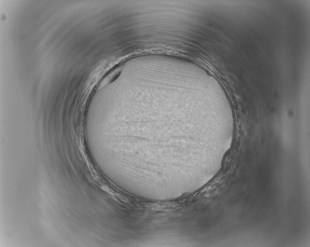 X0000053080241200508081252