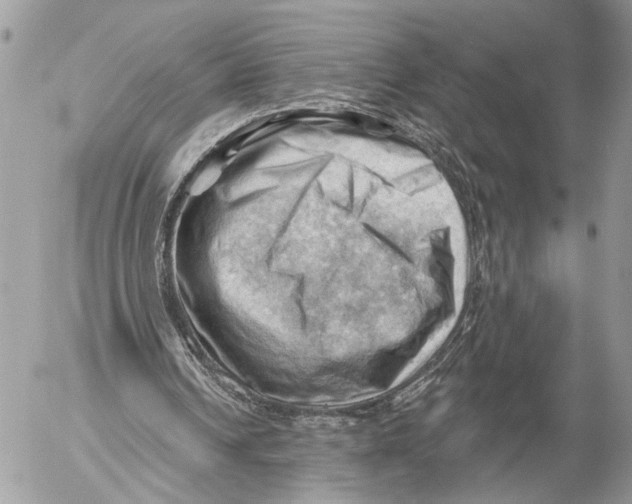 X0000053080242200508081252