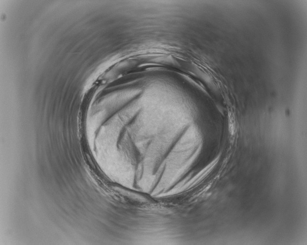 X0000053080244200508081252