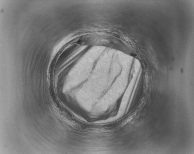 X0000053080246200508081252