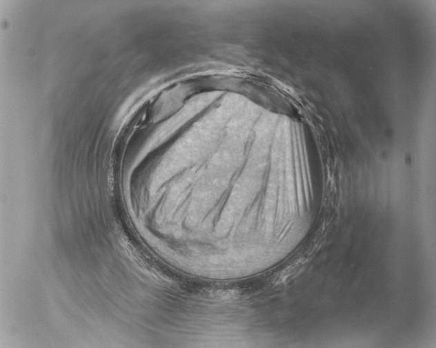 X0000053080247200508081252