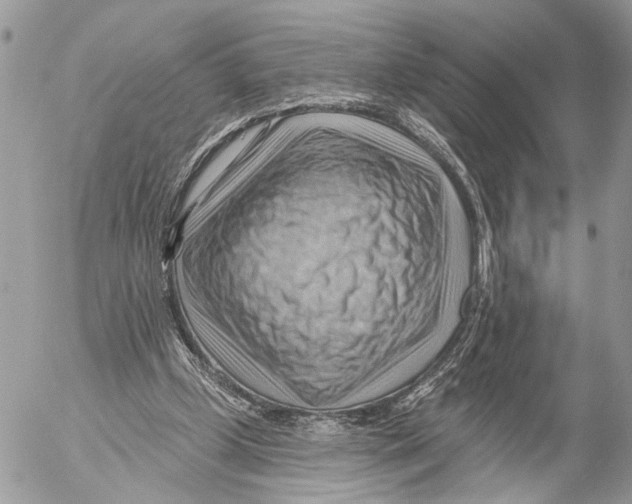 X0000053080249200508081252