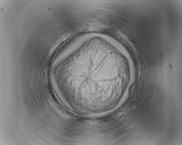 X0000053080250200508081252