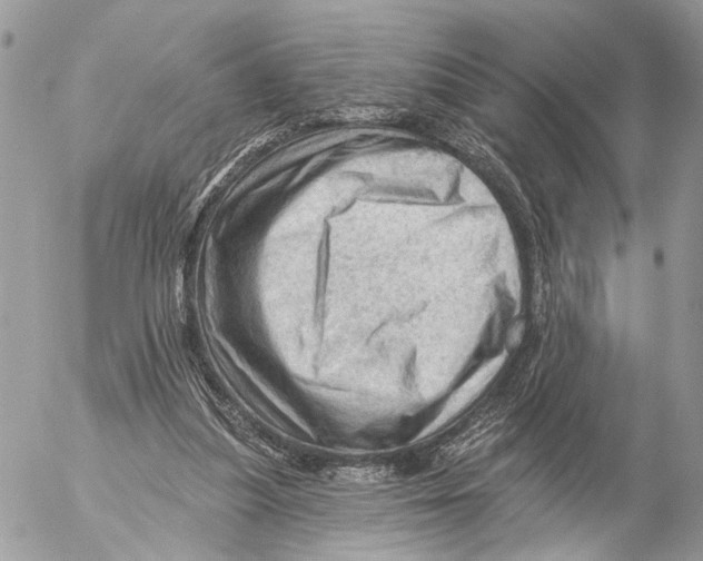 X0000053080251200508081252