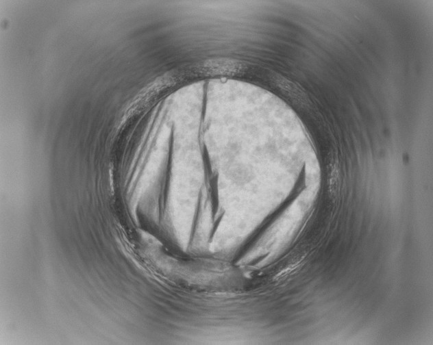 X0000053080254200508081252