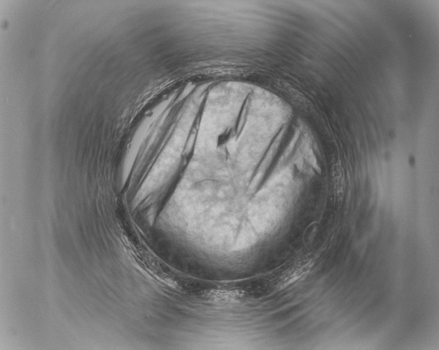 X0000053080255200508081252