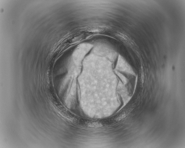 X0000053080258200508081253