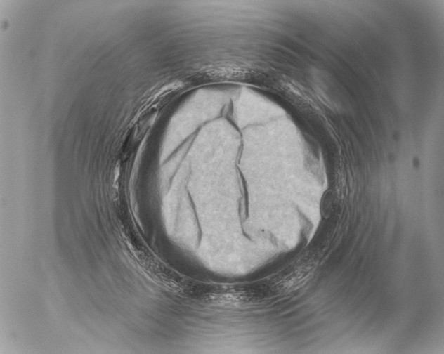 X0000053080259200508081253