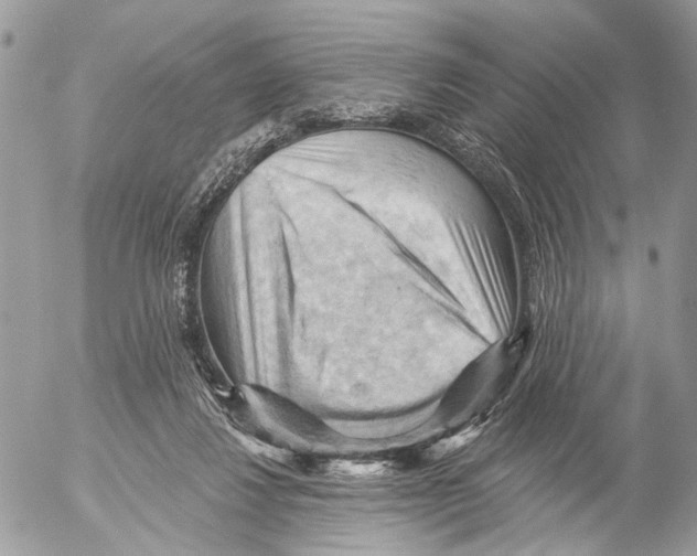 X0000053080260200508081253