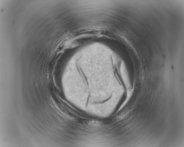 X0000053080261200508081253