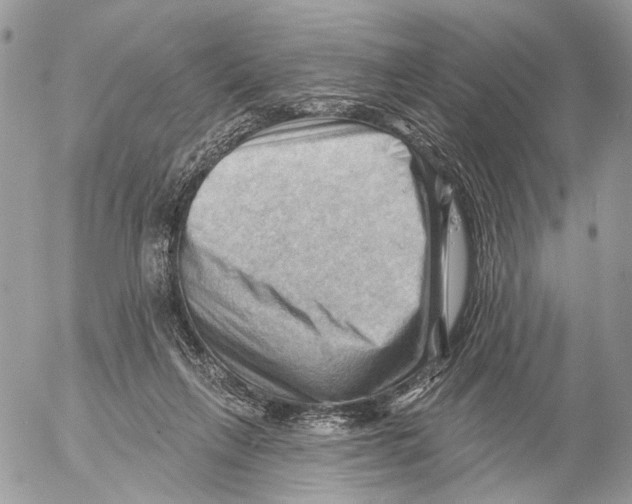 X0000053080263200508081253