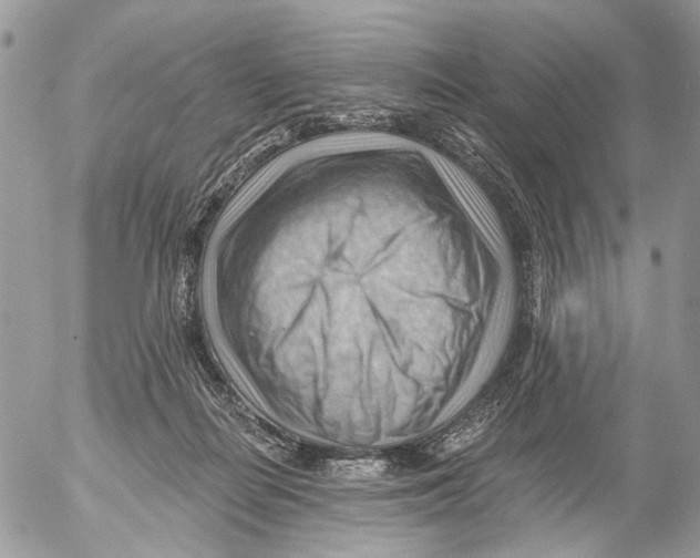 X0000053080266200508081253