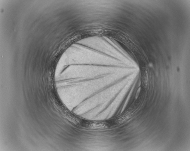 X0000053080270200508081253