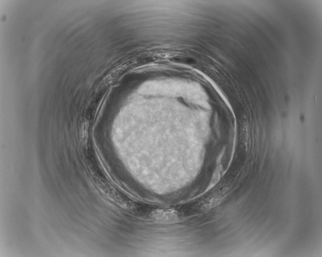 X0000053080271200508081253