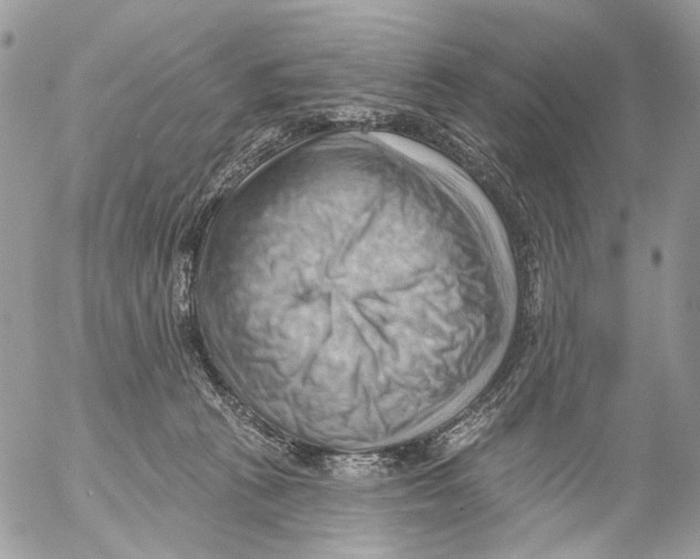 X0000053080273200508081253