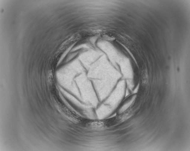 X0000053080279200508081253