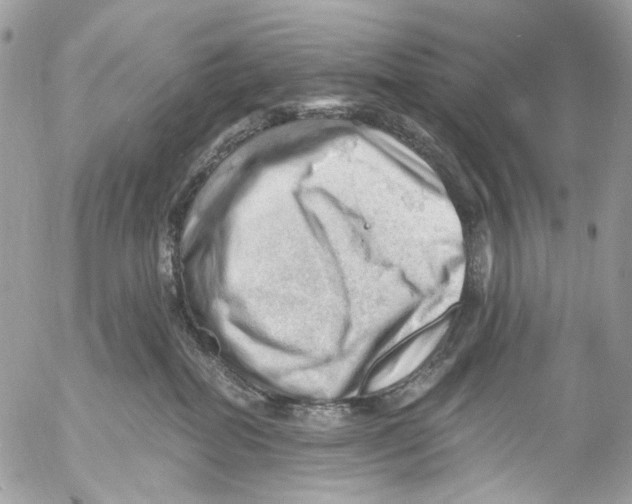 X0000053080282200508081253