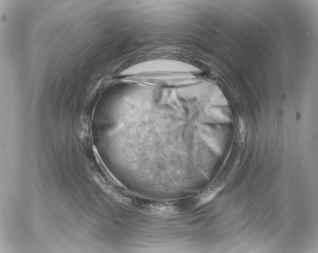 X0000053080284200508081253