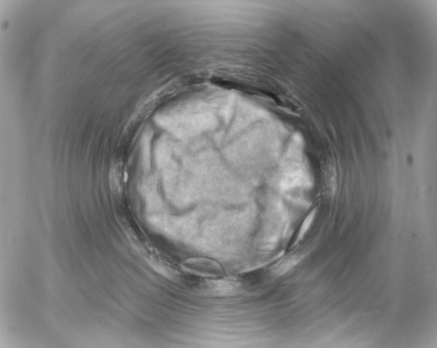 X0000053080286200508081253