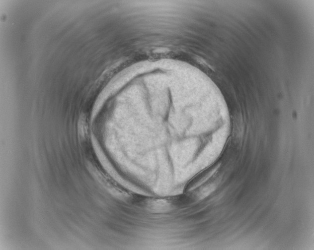 X0000053080287200508081253