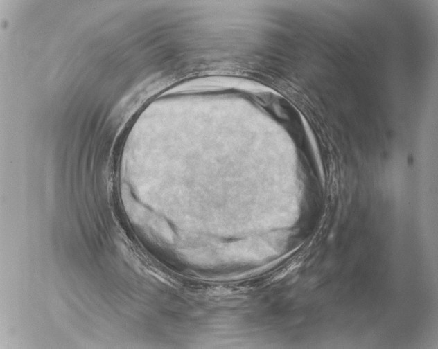 X0000053080290200508081252