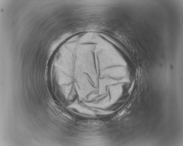 X0000053080292200508081252