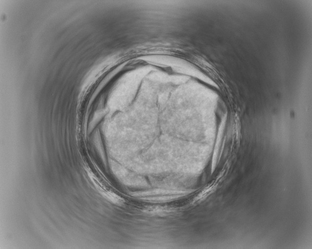 X0000053080293200508081252