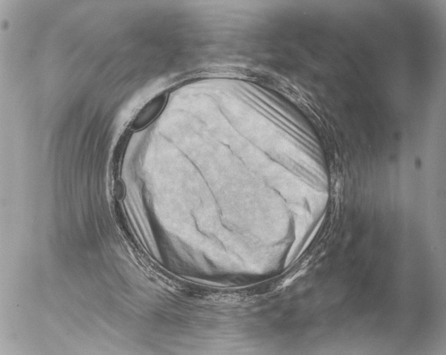 X0000053080294200508081252