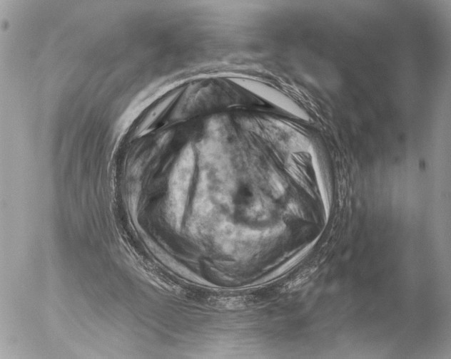 X0000053080295200508081252