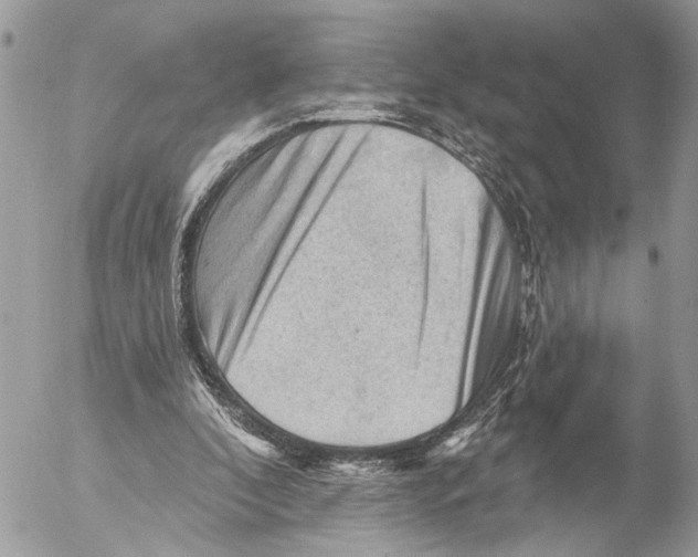 X0000053080296200508081252