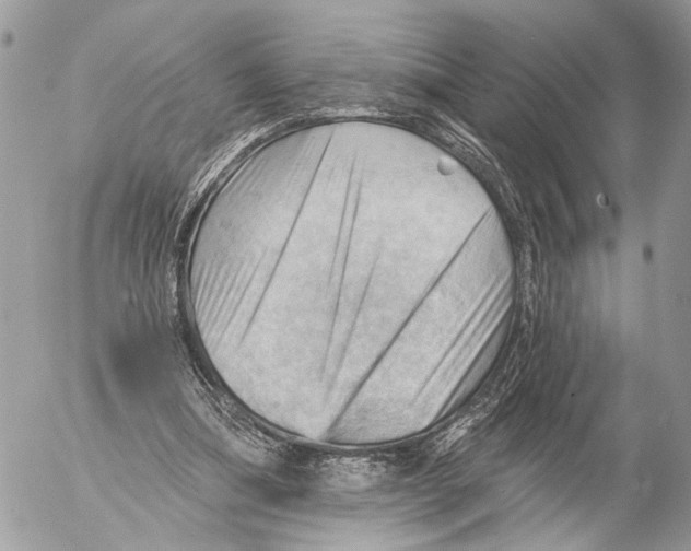 X0000053080298200508081252