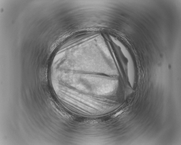 X0000053080299200508081252