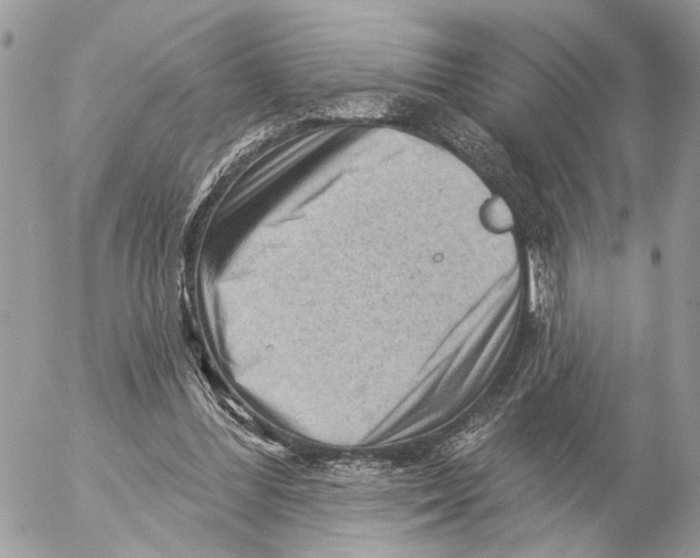 X0000053080300200508081252