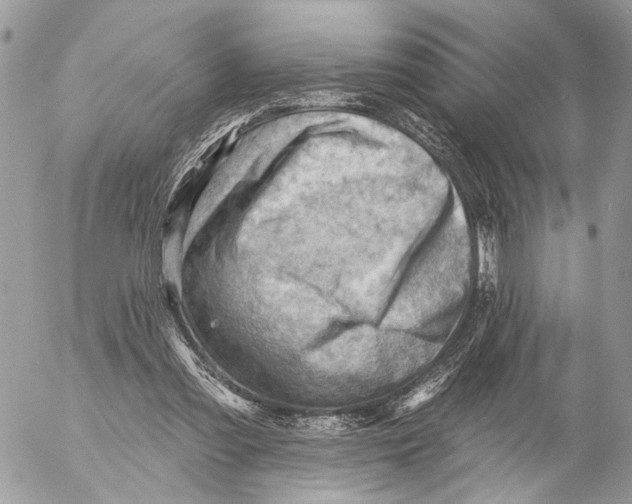 X0000053080301200508081252