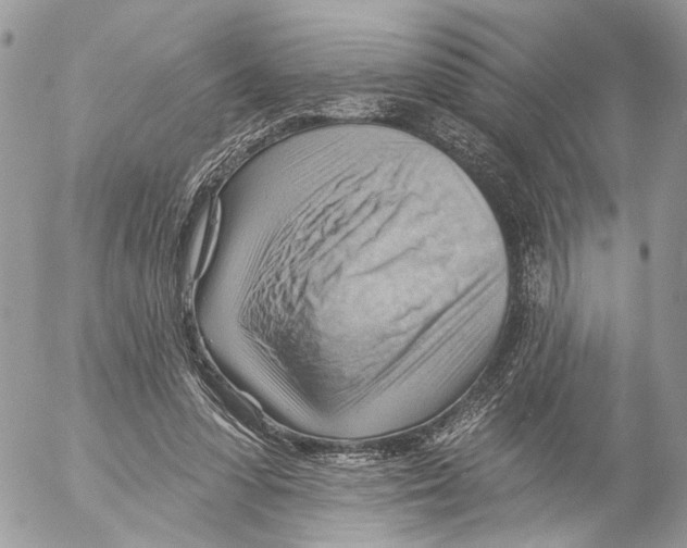 X0000053080303200508081252