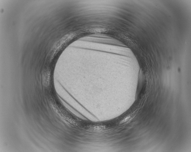 X0000053080304200508081252