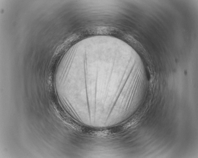 X0000053080306200508081252