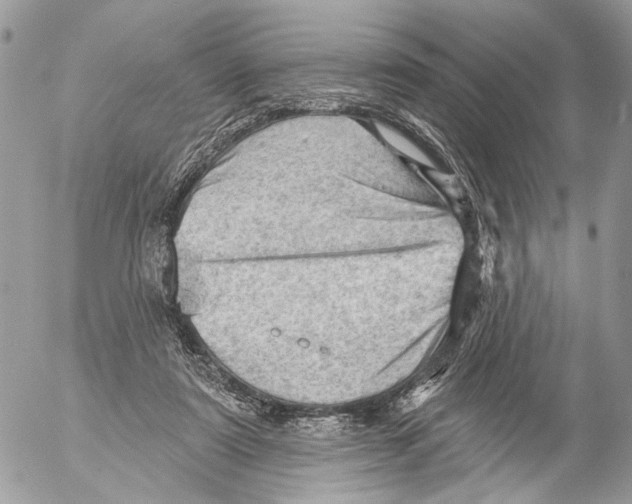 X0000053080307200508081252