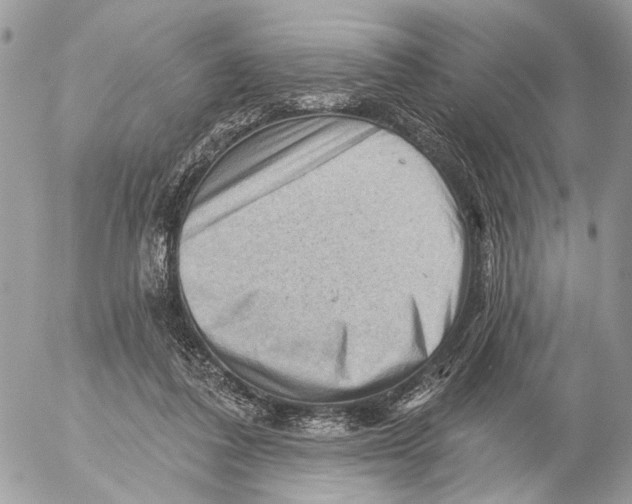 X0000053080308200508081252