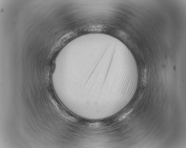 X0000053080309200508081252