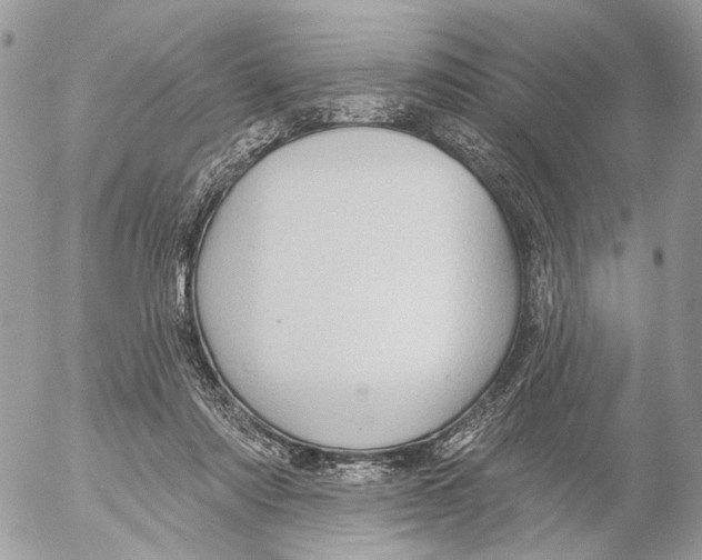 X0000053080310200508081252